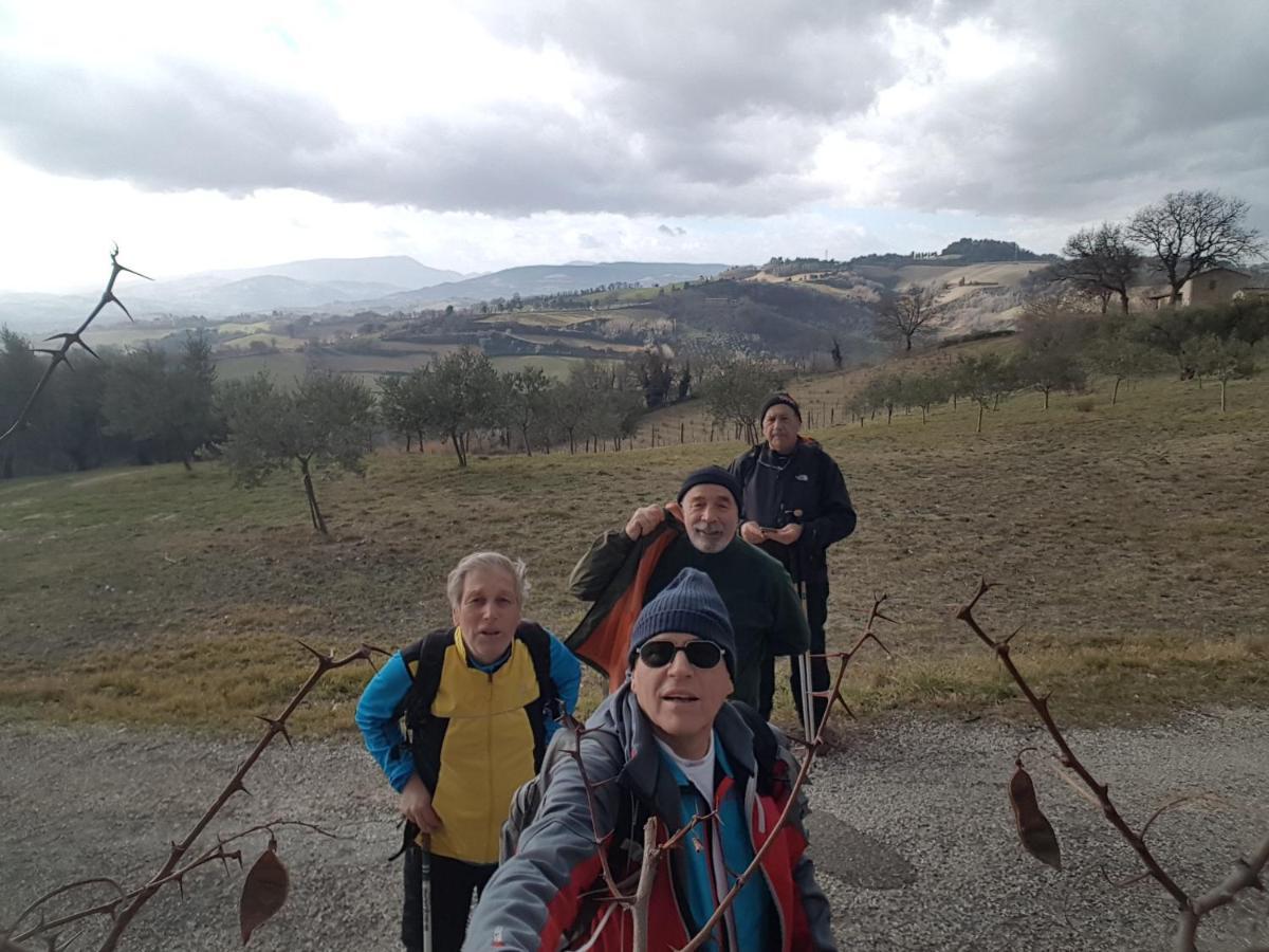 Al Villino Del Sole Bed & Breakfast Fano Bagian luar foto